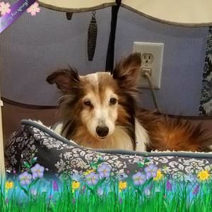 Meet your Posher, Nancy